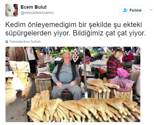 Söz Konusu Yemek Olduğunda Başı Kedilerle Tatlı Bir Belada Olan 12 Kişi