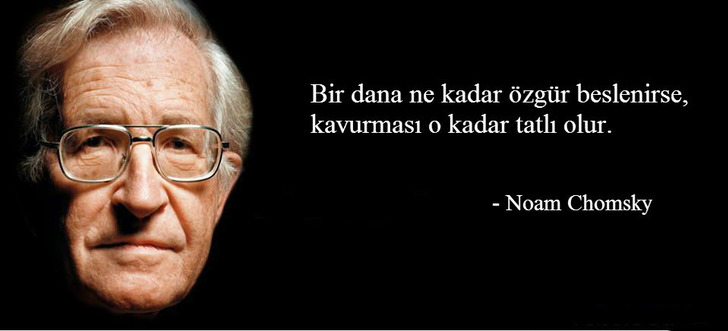 noam-chomsky-kavurma