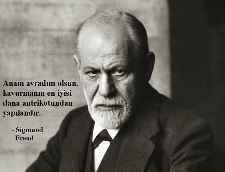freud-kavurma