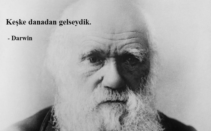 darwin-kavurma