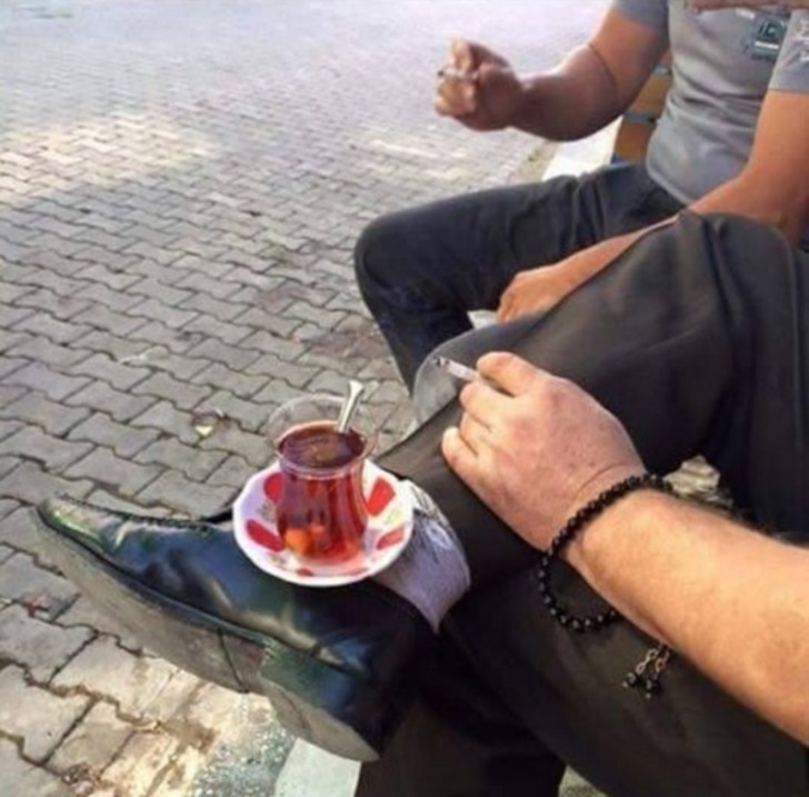 cay-dekoratif-fikir