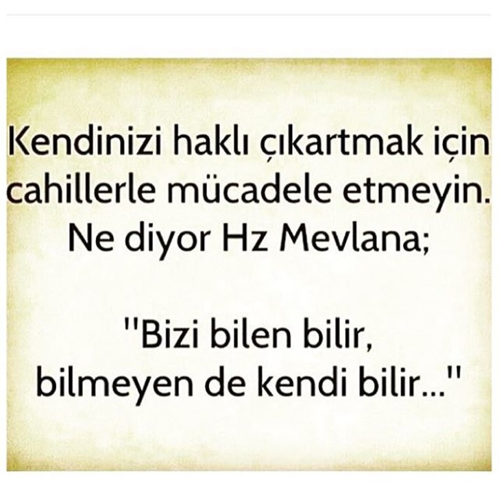 bilmeyen-kendi-bilir