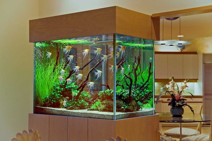 http://lighthom.co/home-interior-with-exciting-aquarium/amazing-aquarium-design-on-kitchen-with-dining-set-on-the-back-look-awesome-interior-kitchen-design/ | lighthom
