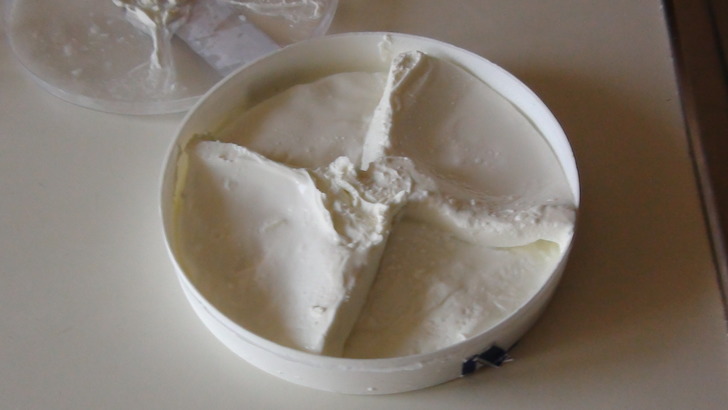 sucugumafyondan