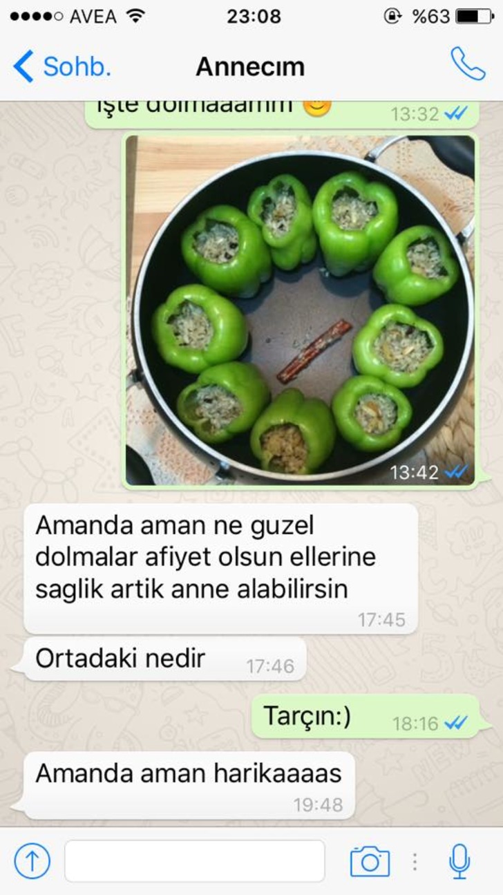 anne-dolma-tarcin