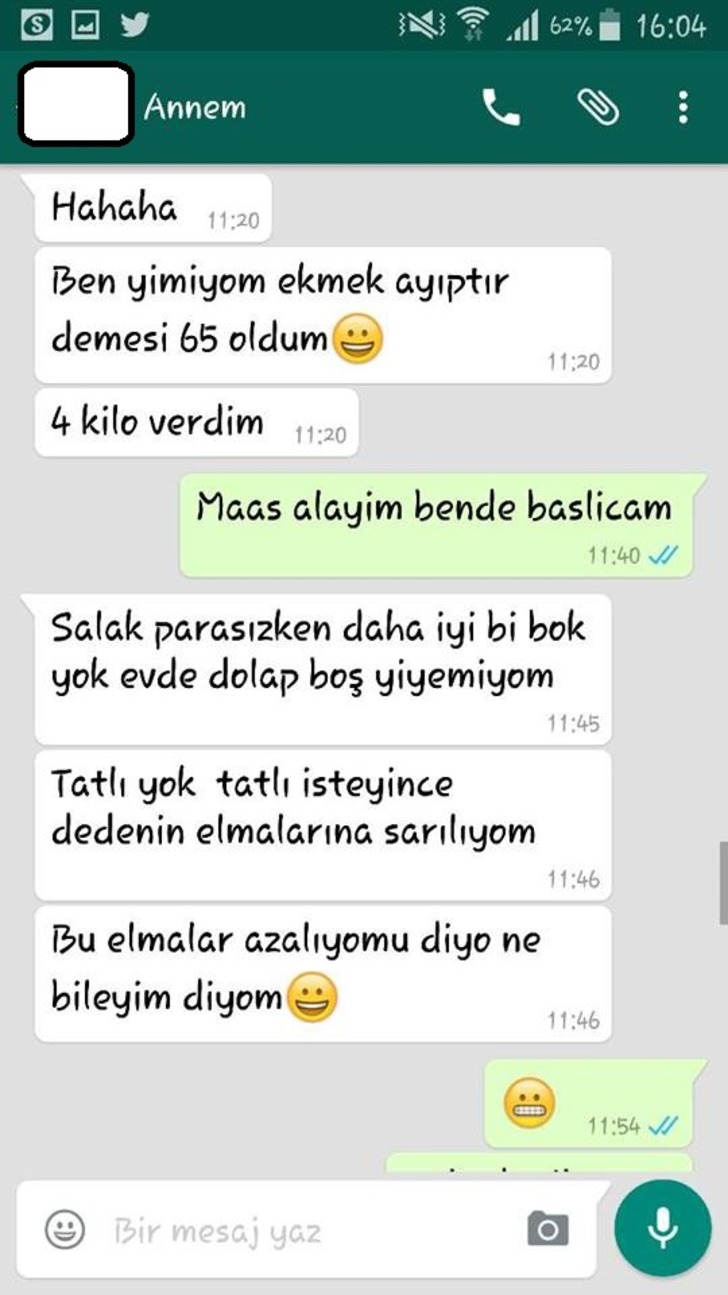 anne-diyet