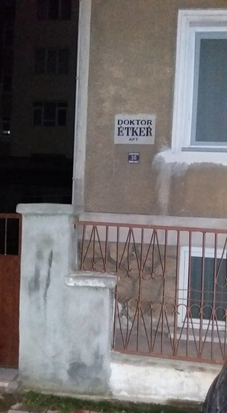 ozhakikiduvarfotograflari