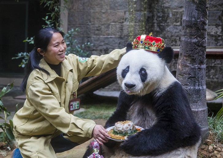 boredpanda
