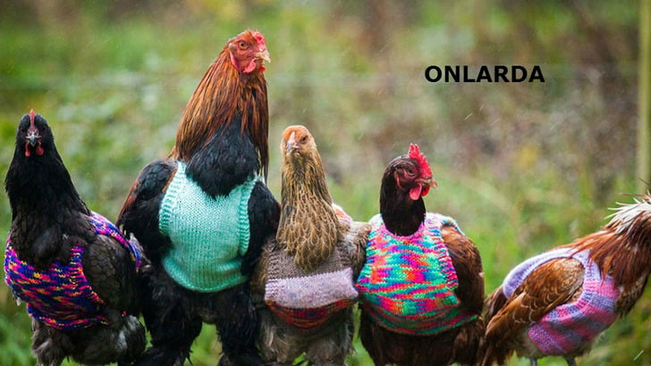 Samanyolunun Açık Ara En Özgün Ülkesi Olduğumuzun 16 Fantastik Kanıtı