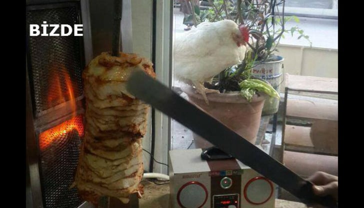 Samanyolunun Açık Ara En Özgün Ülkesi Olduğumuzun 16 Fantastik Kanıtı