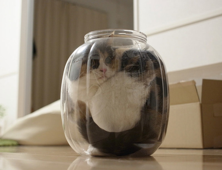 soocurious