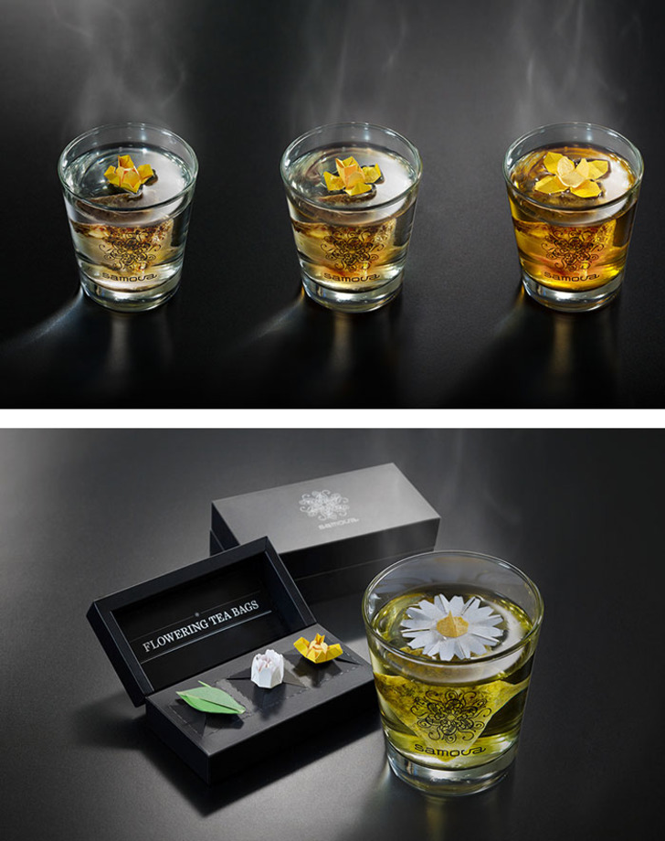behance