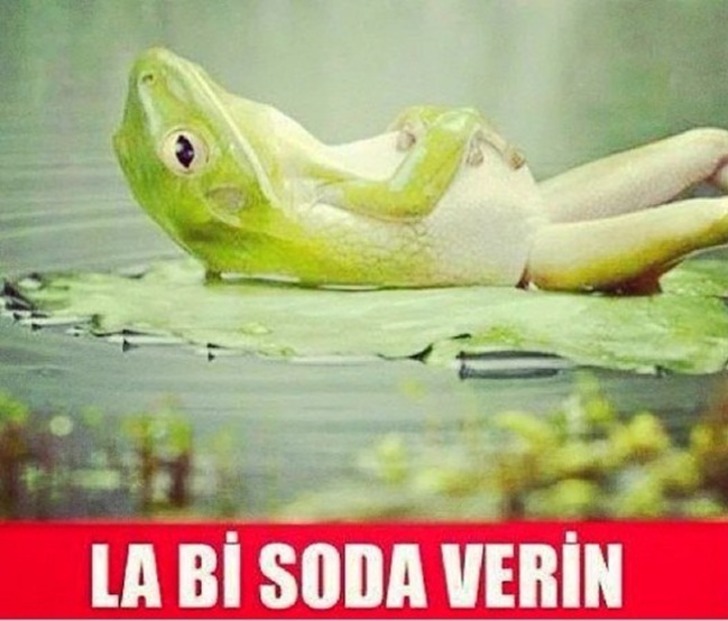 kizlarsoruyor