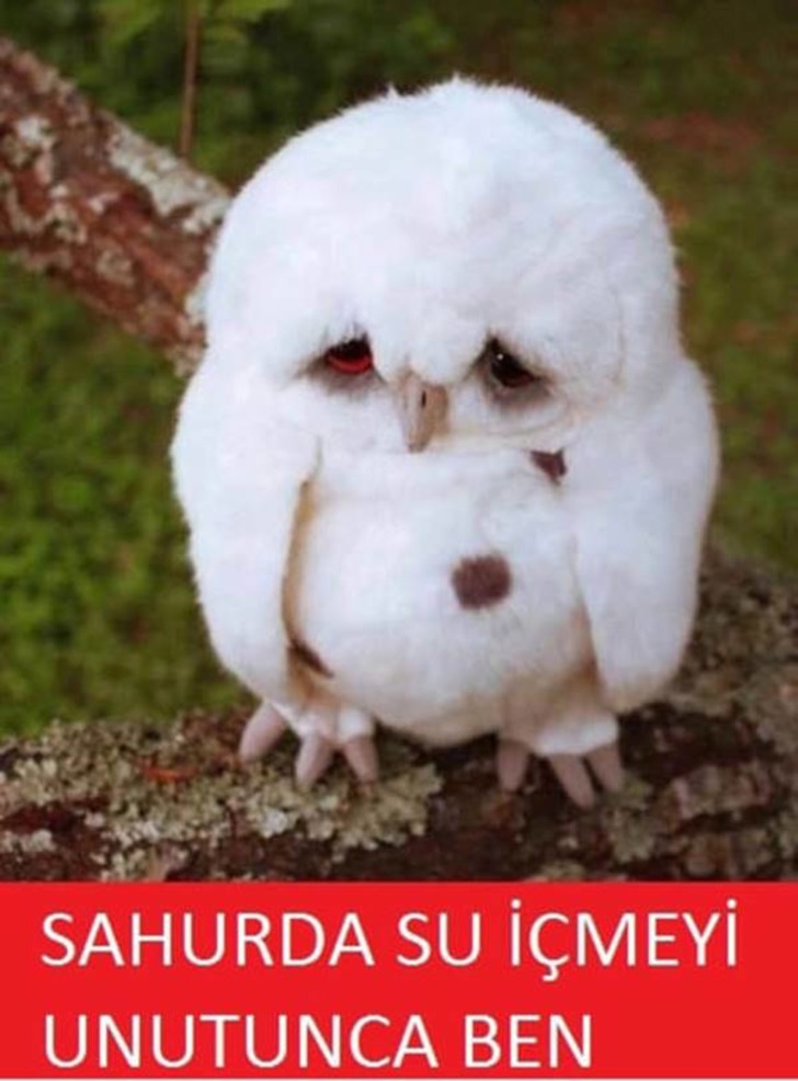 bugunluk