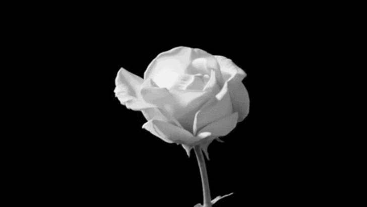 allpoetry