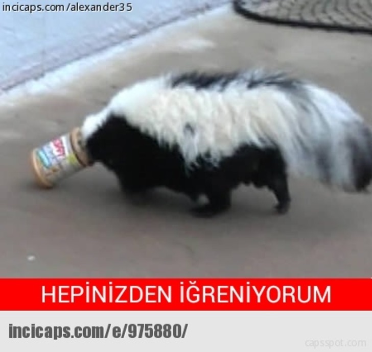 incicaps