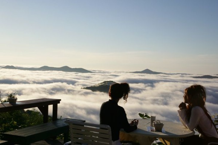 japantoday
