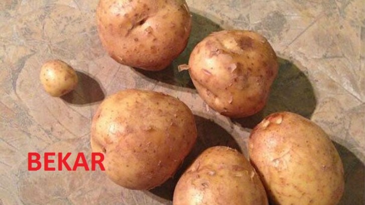 Bekar ve Evli Arasındaki Farkı Gösteren 18 Çok Müstesna Fotoğraf
