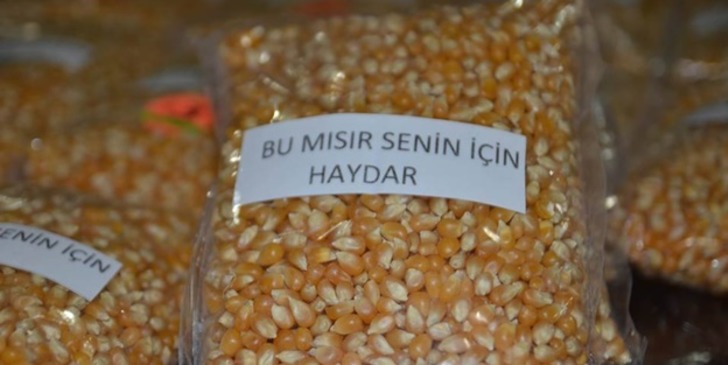 radikal