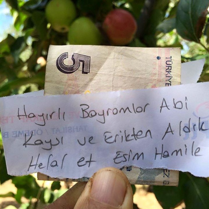 hurriyet