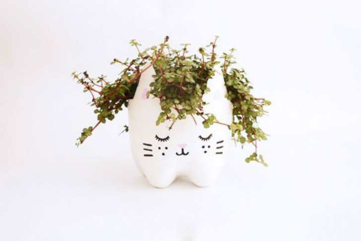 boredpanda