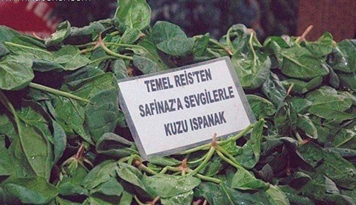 dermisim