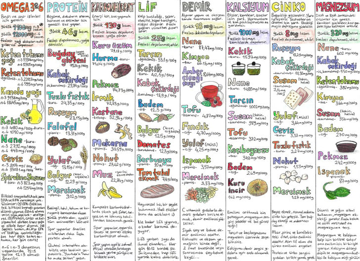yeryuzuneozgurluk - vegan beslenme tablosu