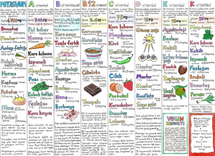 yeryuzuneozgurluk - vegan beslenme tablosu