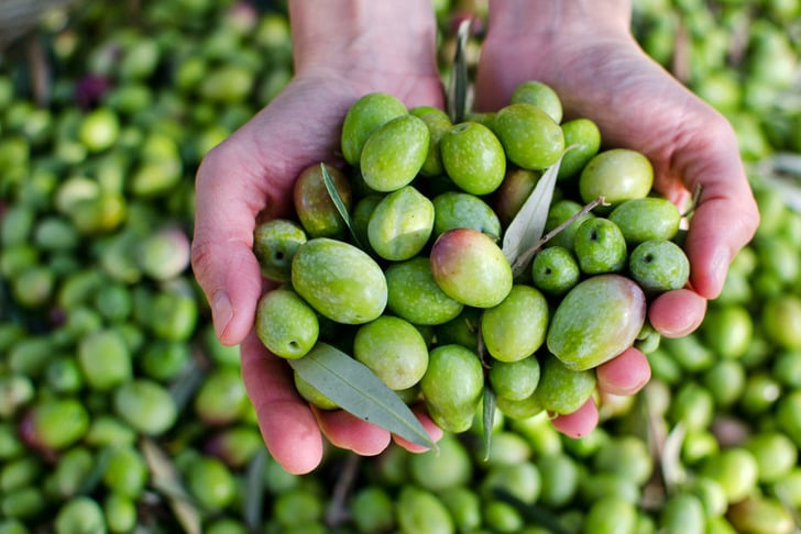 zeytin-1