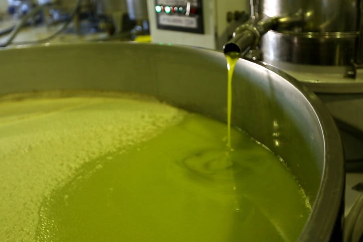 carthageoliveoil.com.tn