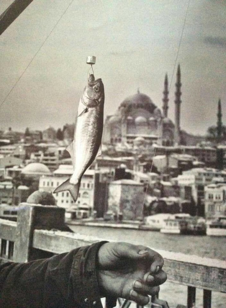 denizticaretgazetesi