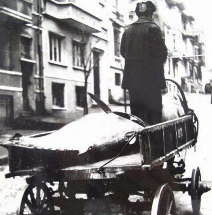 denizticaretgazetesi