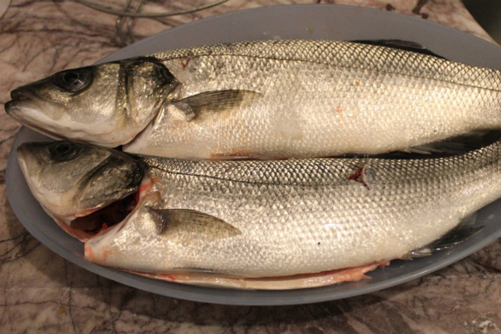 avavlak