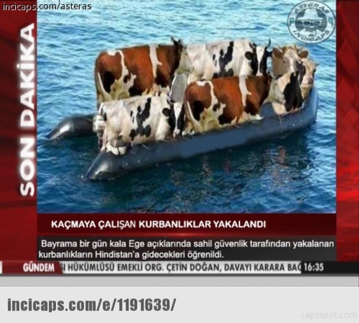 incicaps