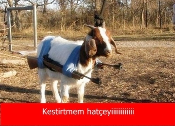 ohadiyorumm