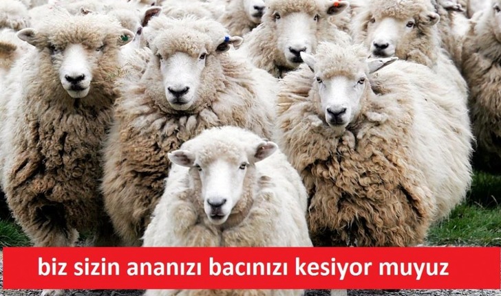 abuzeramca
