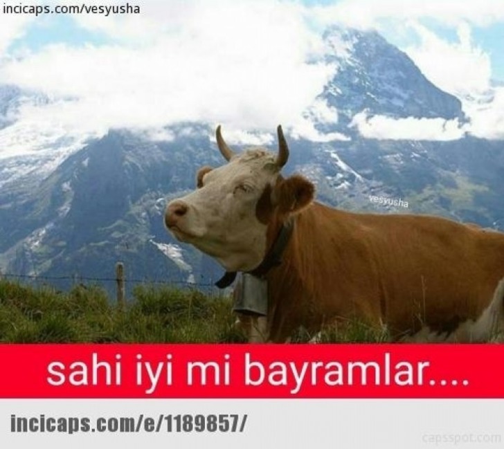 yookartik