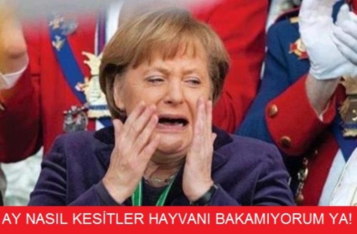 radikal