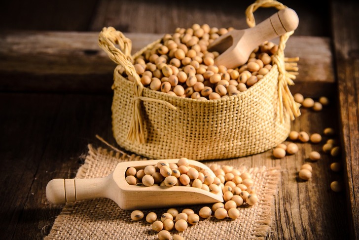 Soya Fasulyesi