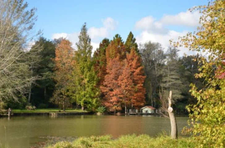 anadoluparkbahceler