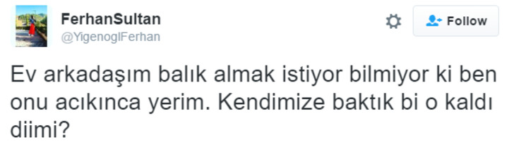Ev Arkadaşına Sahip Olmanın Nasıl Bir Şey Olduğunu Anlatan 18 Acı-Tatlı Tweet