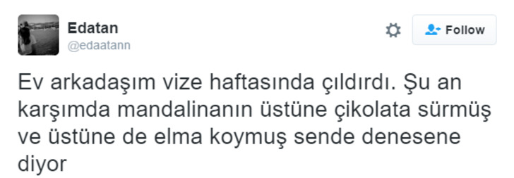 Ev Arkadaşına Sahip Olmanın Nasıl Bir Şey Olduğunu Anlatan 18 Acı-Tatlı Tweet
