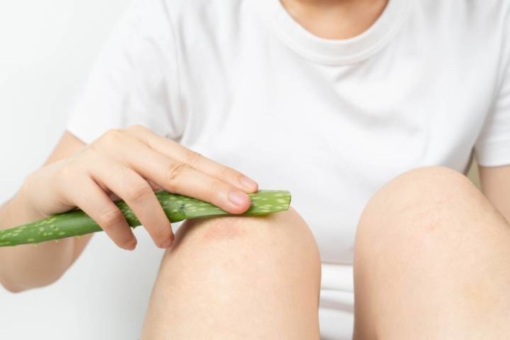 Aloe Vera Nasıl Kullanılır?