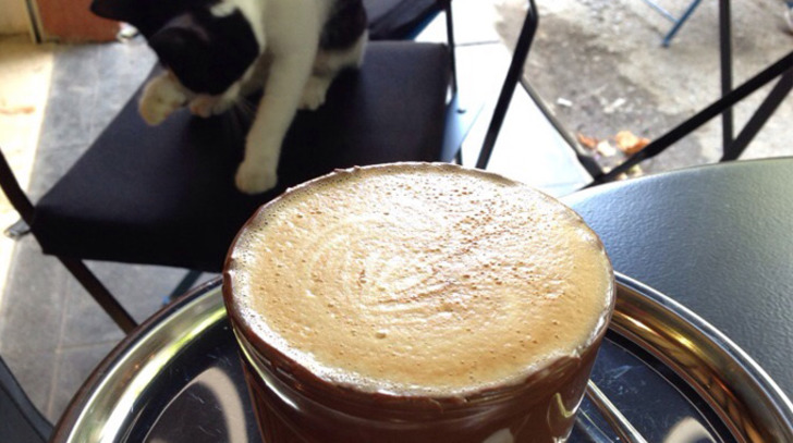 fotoğraf: çağla gillis - coffee sapiens üçüncü dalga kahve