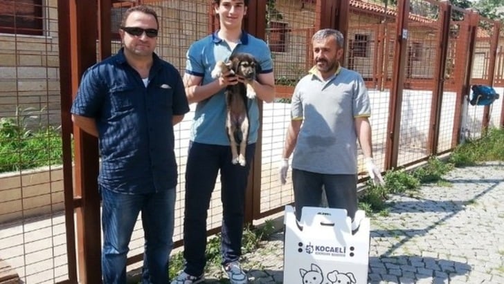 Mama Bağışı Yaparak Sahipsiz Hayvan Dostlarımızı Doyurabileceğiniz 45 Barınak
