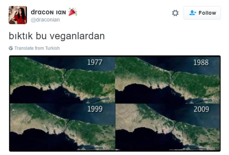 2016'da Okurken Ağzımızdaki Çayı Püskürtmemize Yol Açan En Komik 25 Tweet