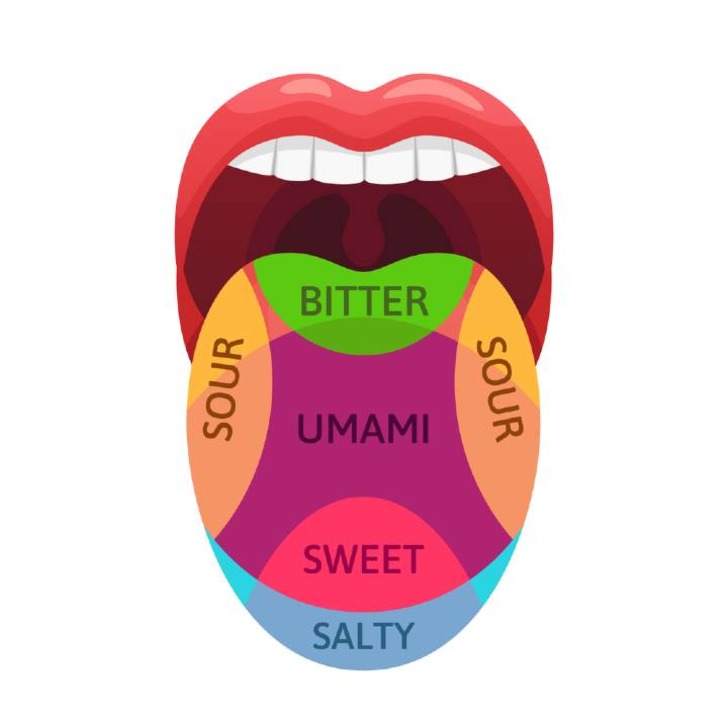 Umami Nedir