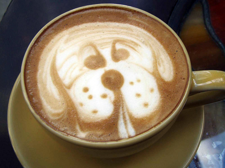 thinknice - en güzel latte artlar