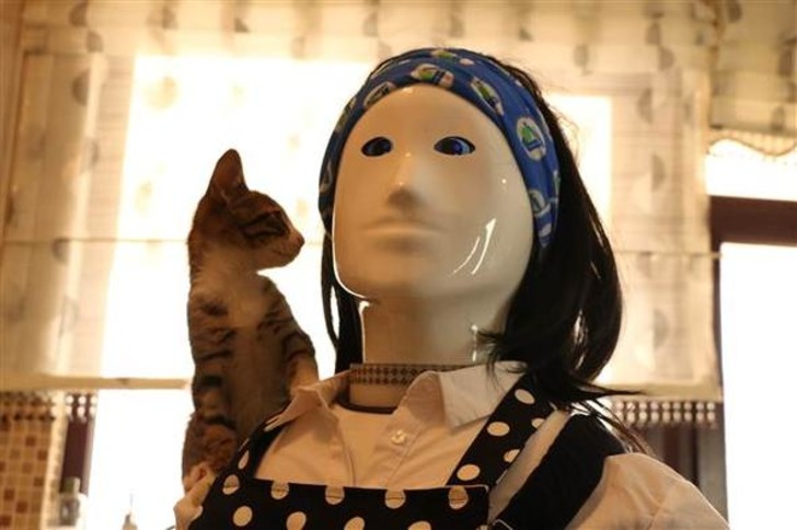 Kahve Hazırlayabilen, Yemek Pişirebilen Türk Yapımı Robotla Tanışın: Ada