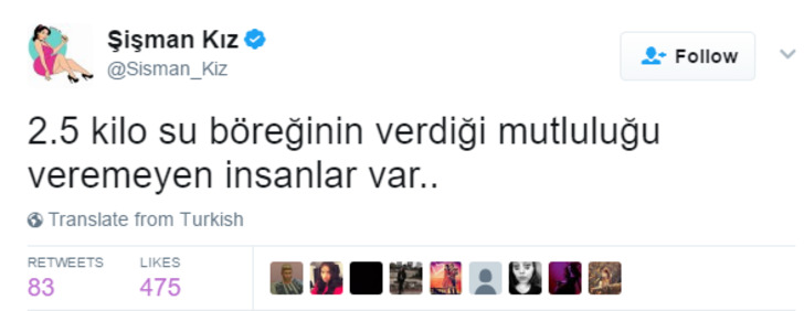 Sadece Hamburgeri Patatesi Elmalı Turtayı Aynı Anda Yiyenlerin Anlayacağı 14 Tweet